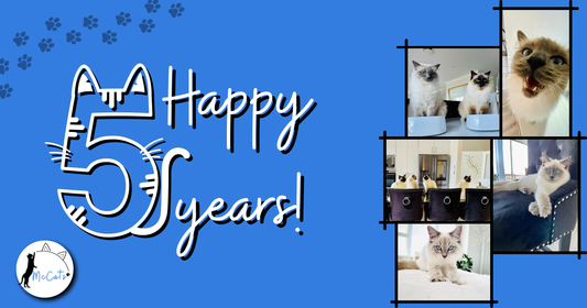 Celebrating 5 years of McCat's Log!