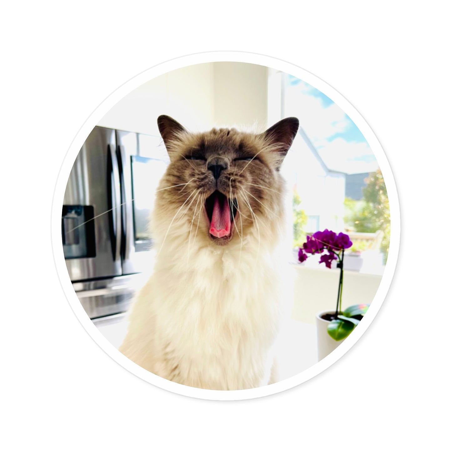 Lou McCat Round Sticker