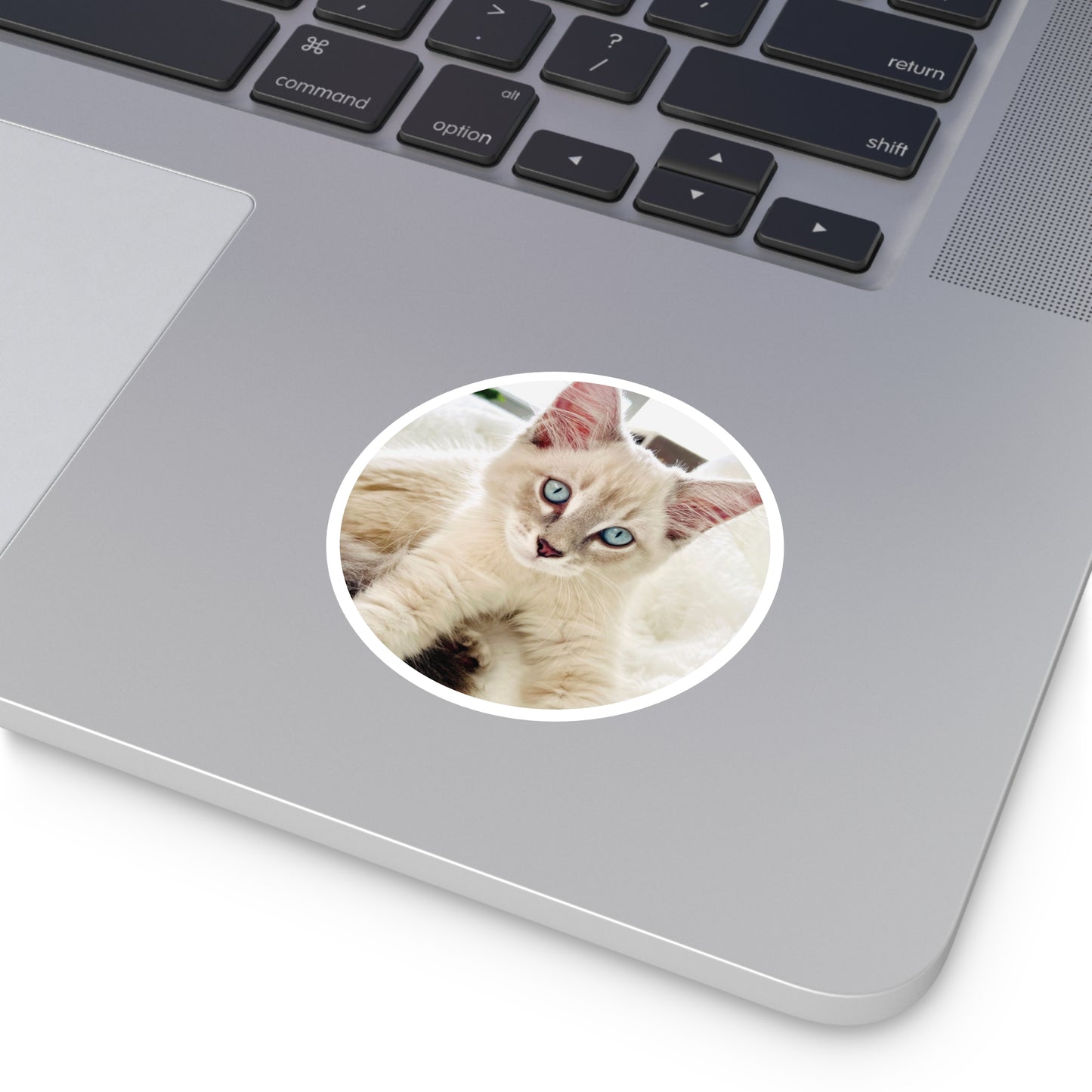 Charlie McCat Round Sticker