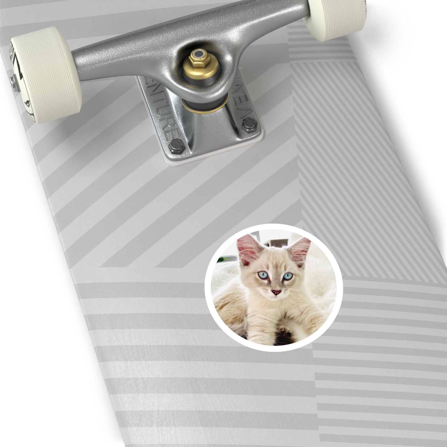 Charlie McCat Round Sticker