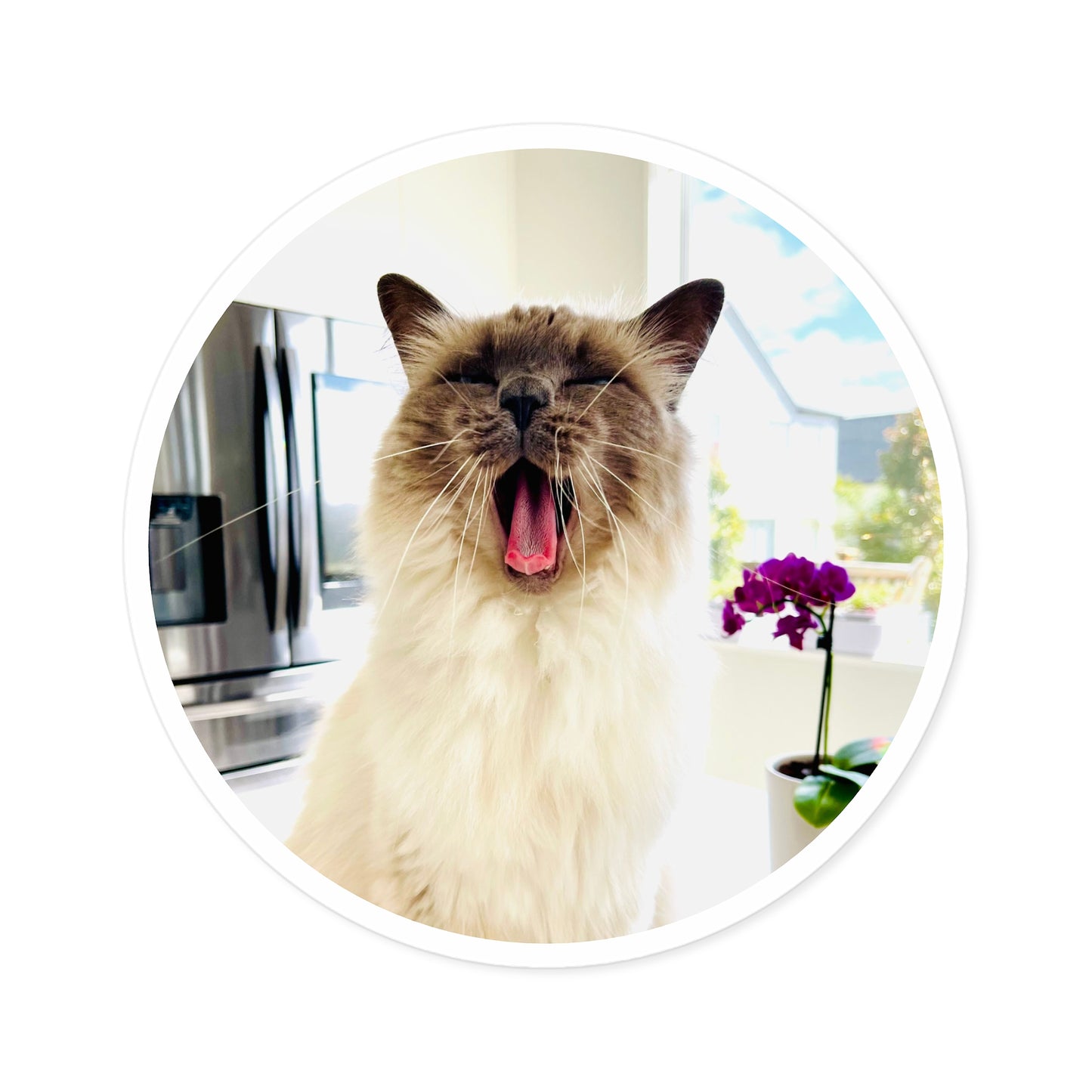 Lou McCat Round Sticker