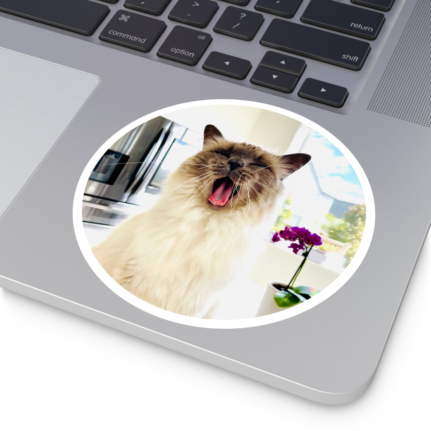 Lou McCat Round Sticker