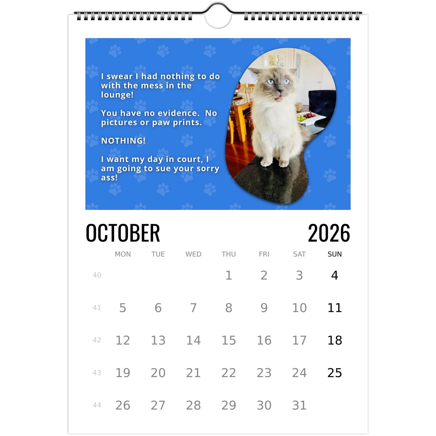 298362c5-635f-4a0e-bc7e-9c83b42749b6