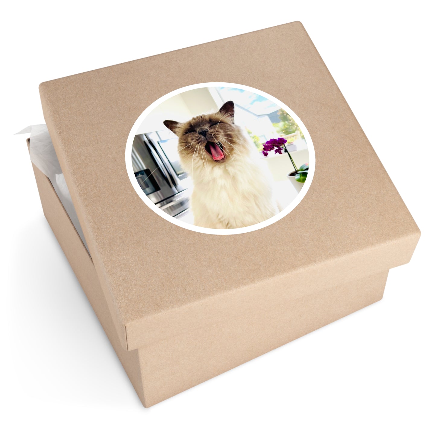 Lou McCat Round Sticker