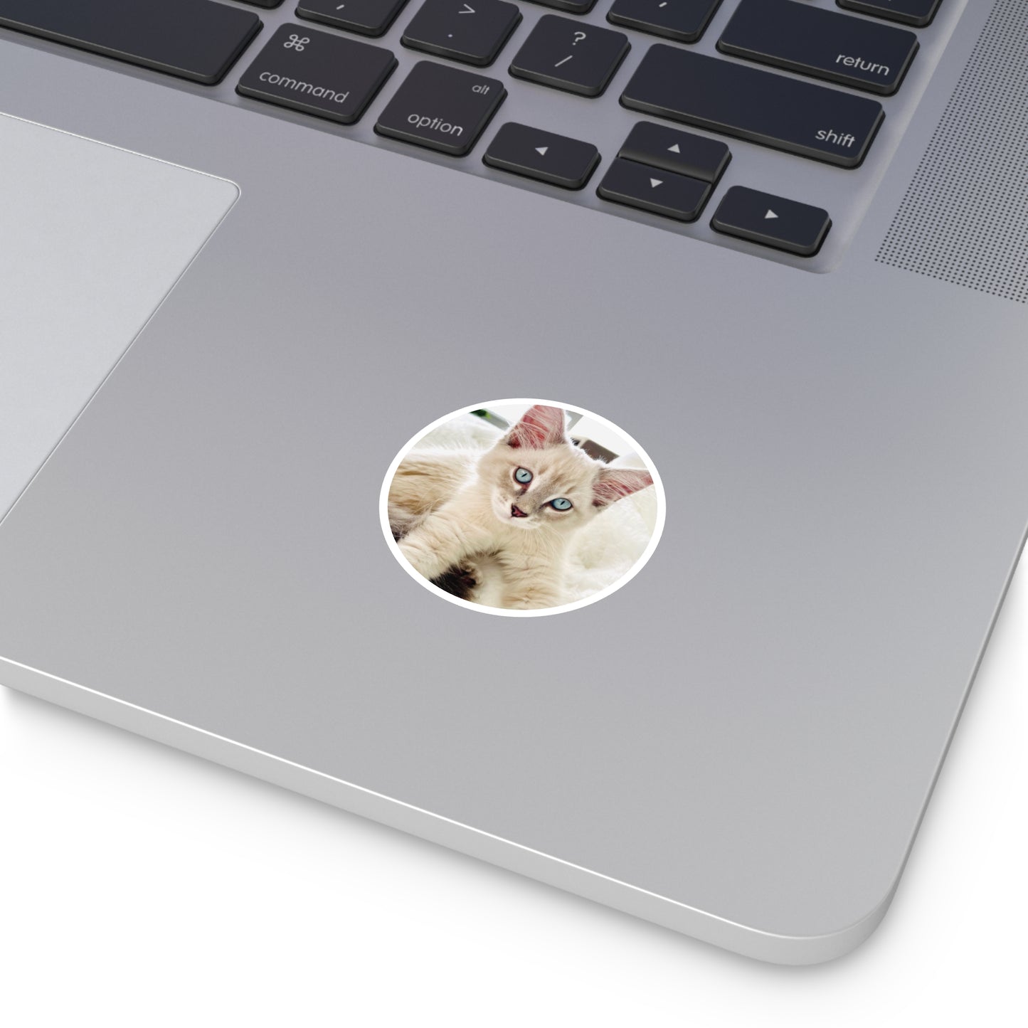 Charlie McCat Round Sticker