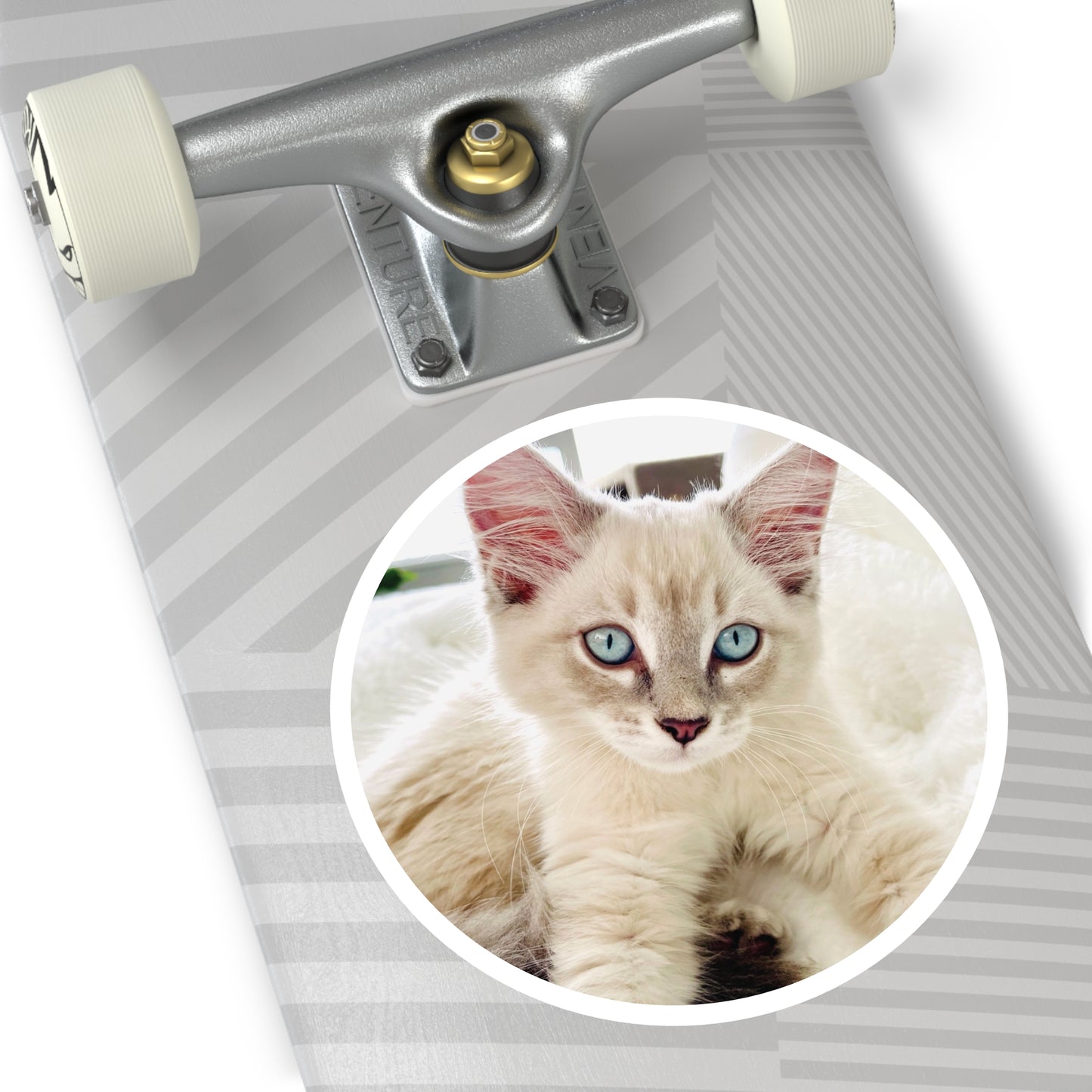 Charlie McCat Round Sticker