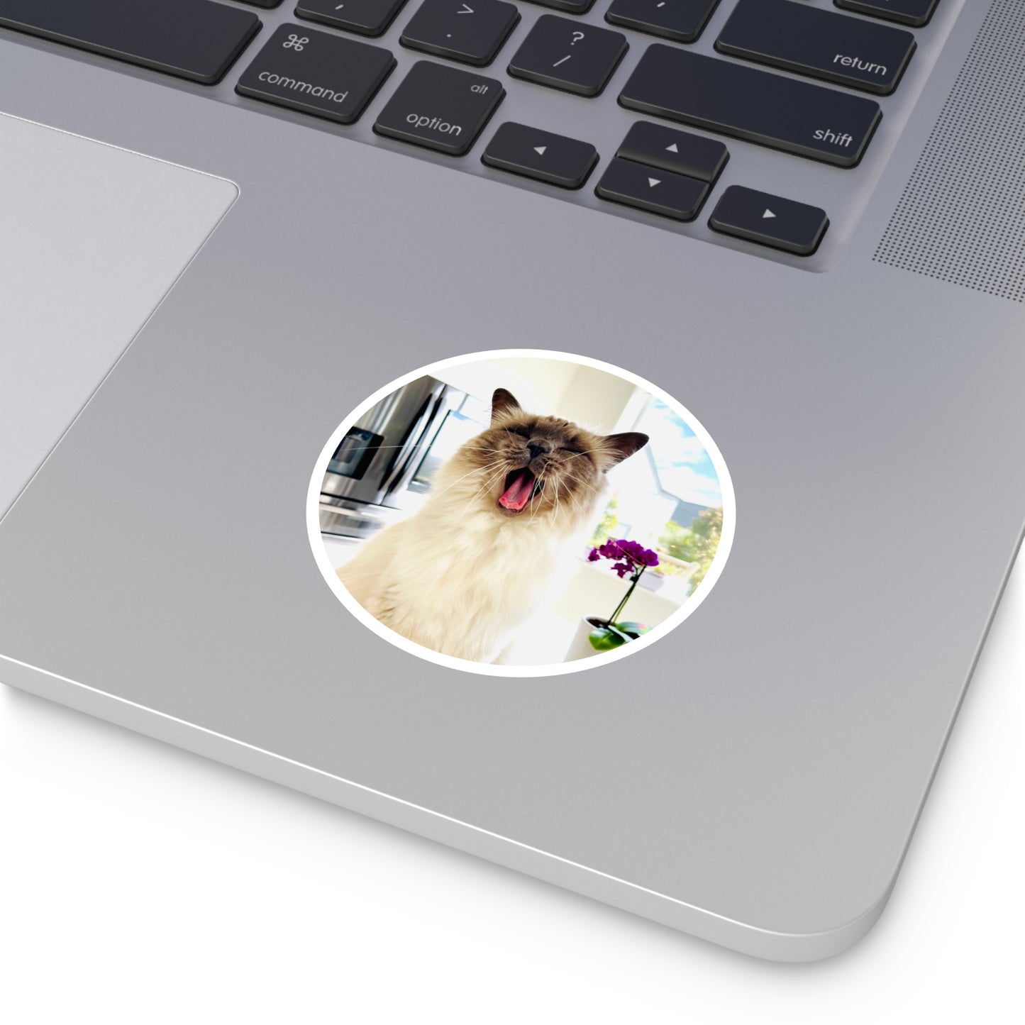 Lou McCat Round Sticker