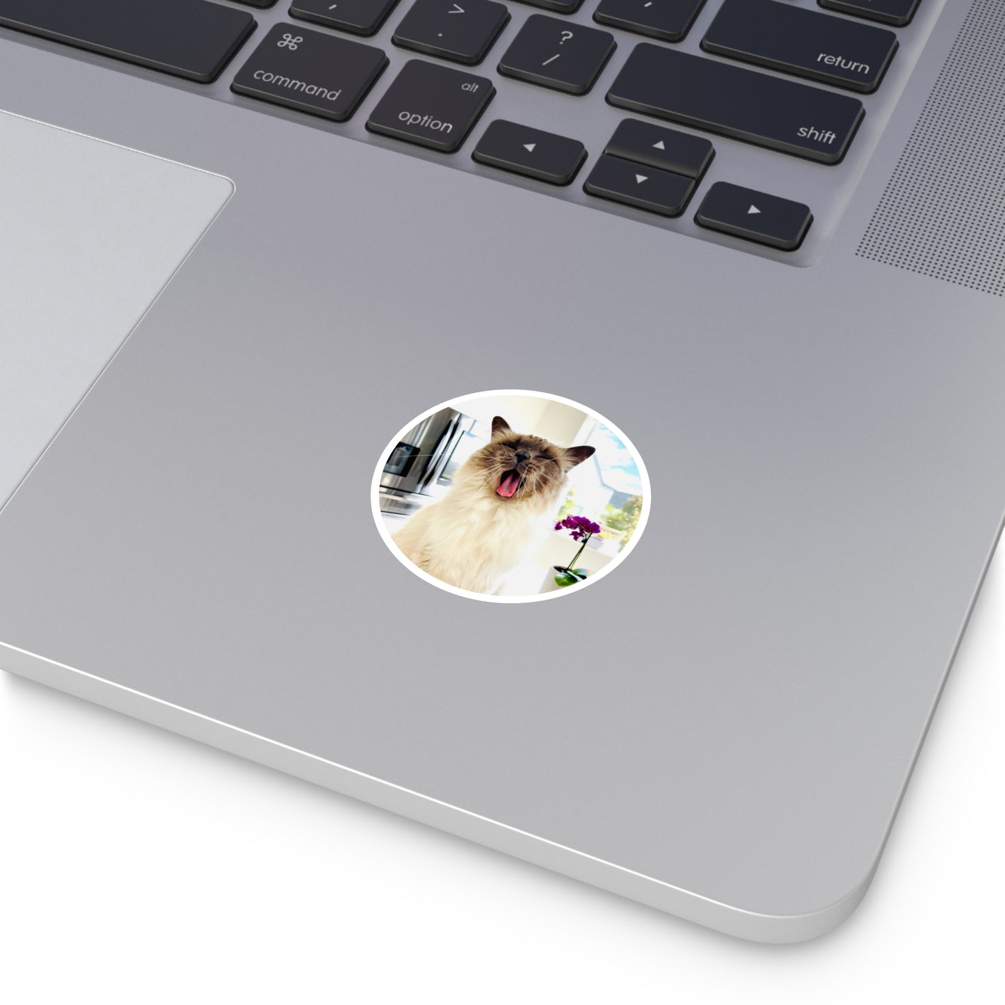 Lou McCat Round Sticker