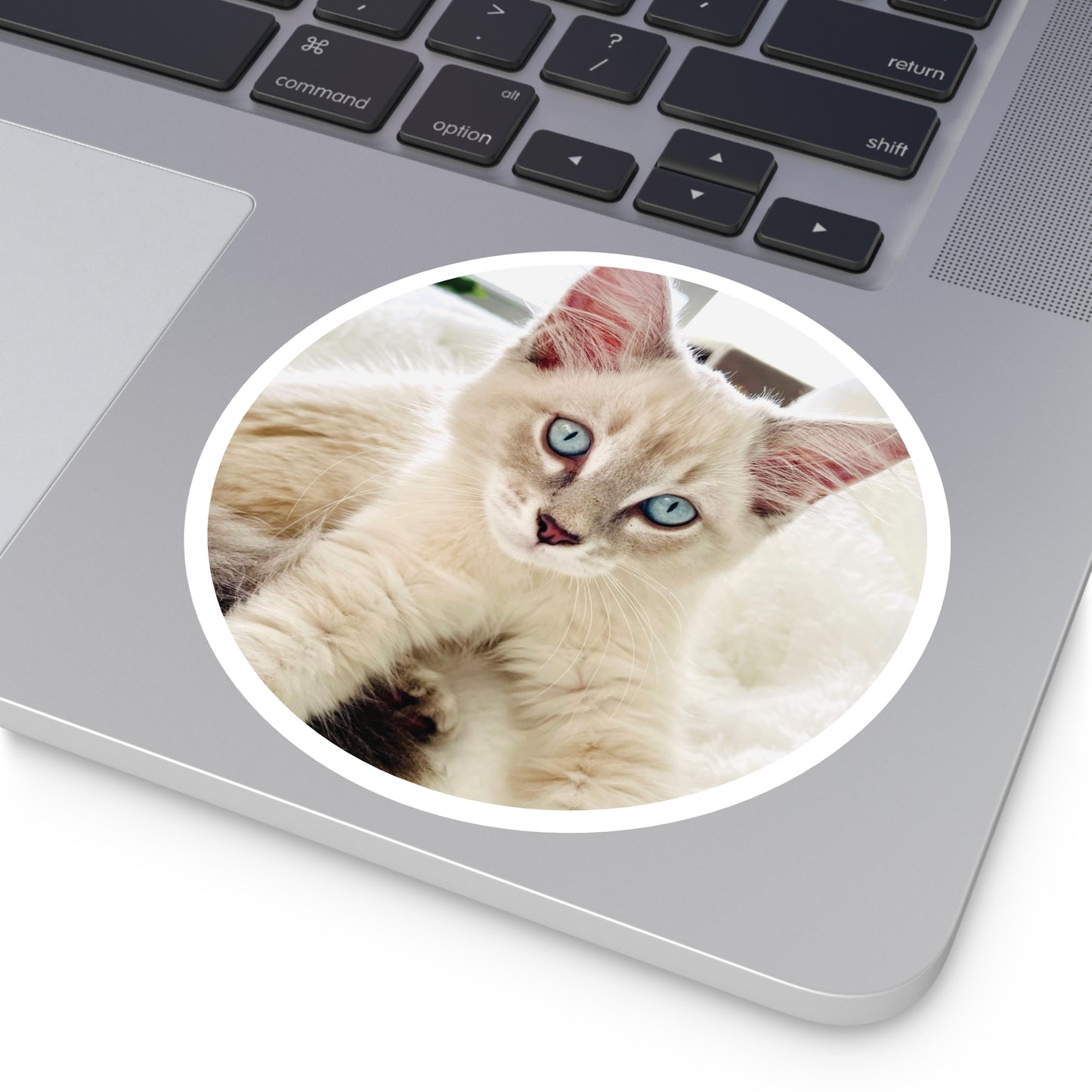 Charlie McCat Round Sticker
