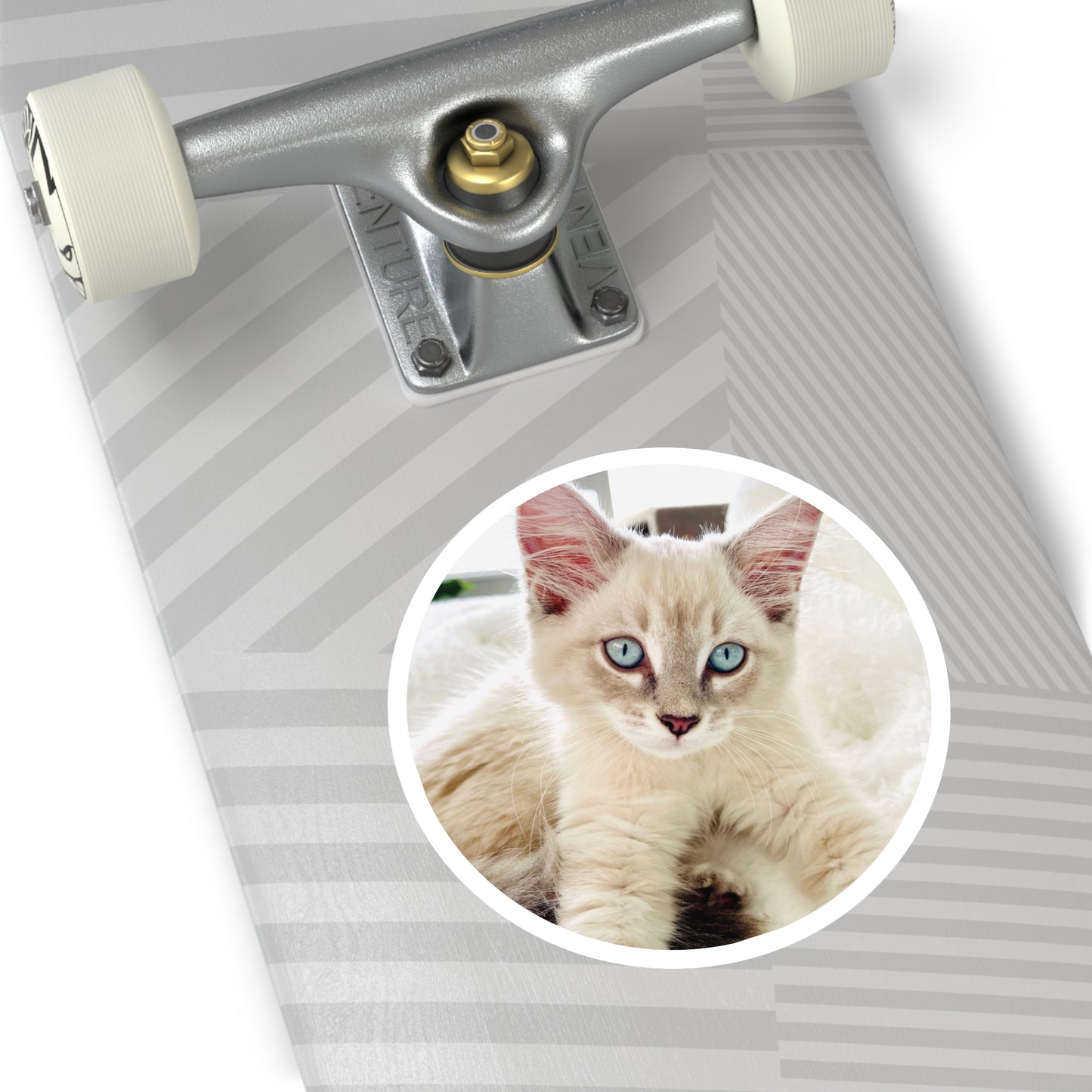 Charlie McCat Round Sticker