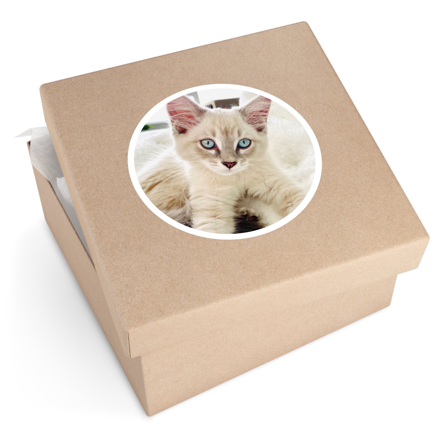 Charlie McCat Round Sticker