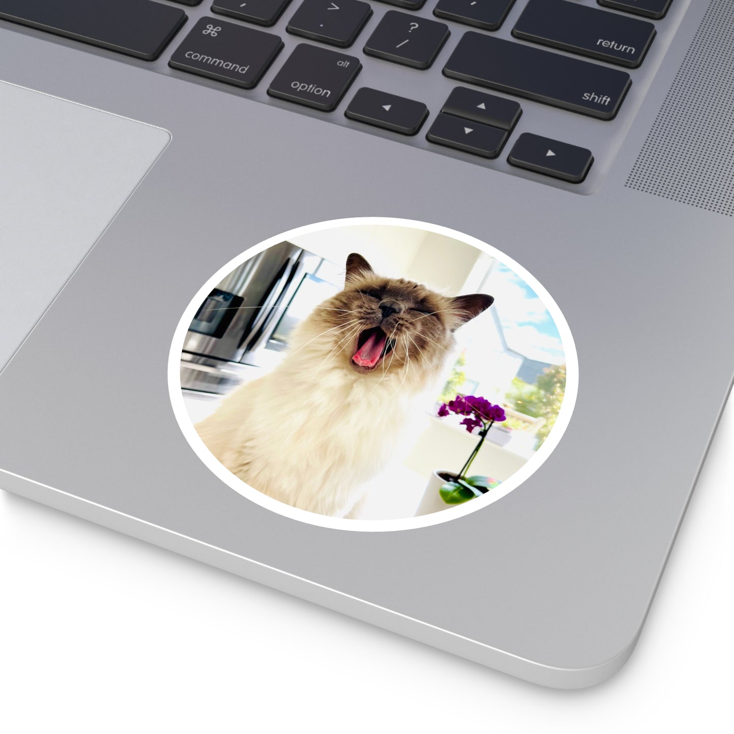 Lou McCat Round Sticker