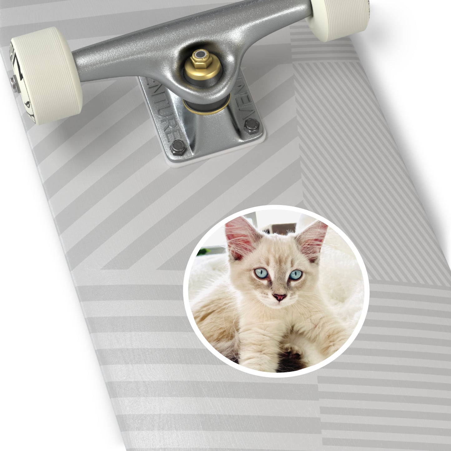 Charlie McCat Round Sticker