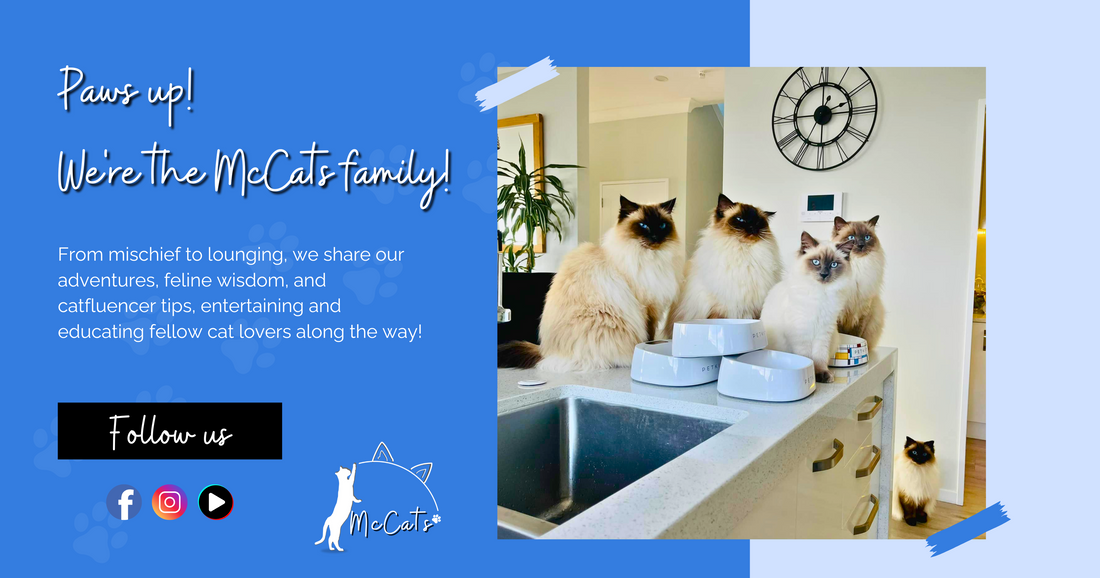 We're the McCats family!