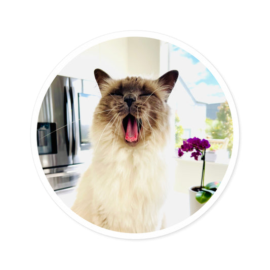 Lou McCat Round Sticker