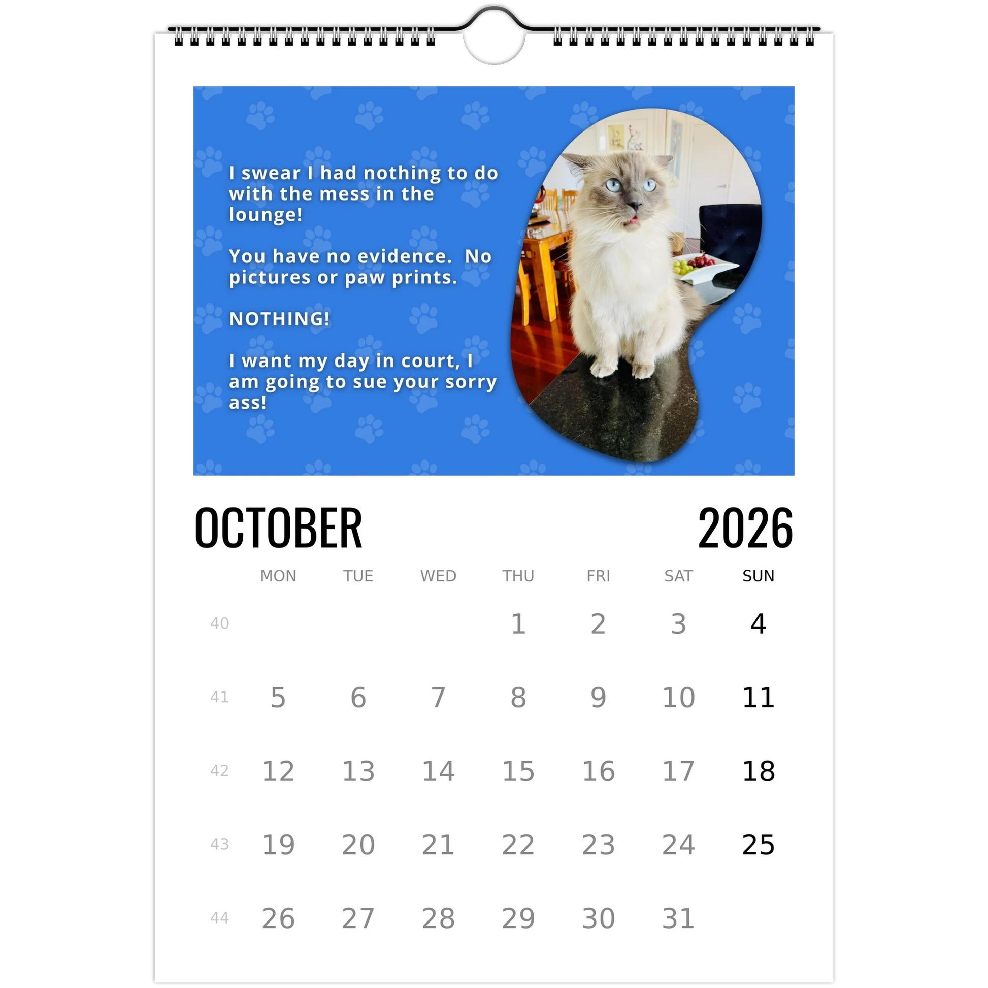 298362c5-635f-4a0e-bc7e-9c83b42749b6