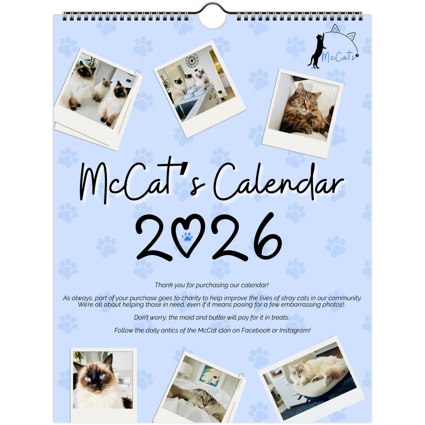 af53236d-6410-4770-9b17-45595f958413