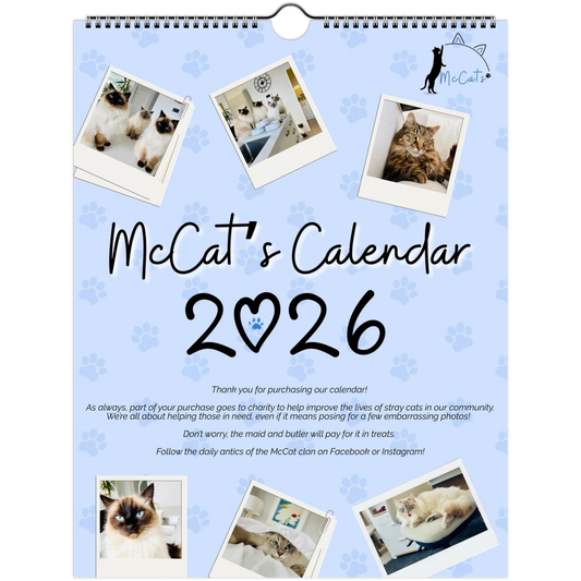 af53236d-6410-4770-9b17-45595f958413